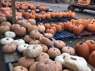 Al's Melons