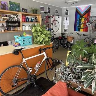 My bike likes this place.