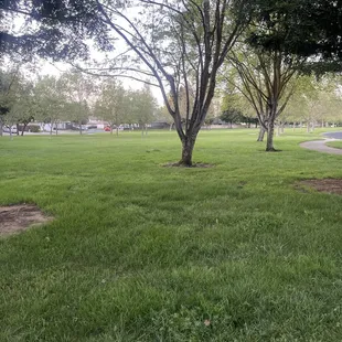 Flat grassy area with lots of trees along walking path