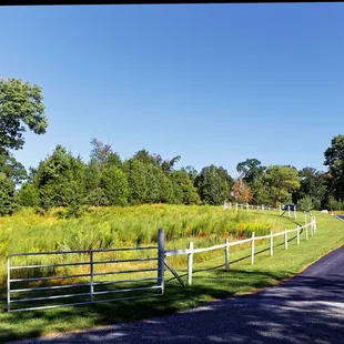Entrance to Parking