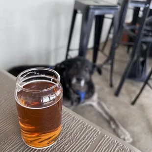 High Altitude with my best buddy beer dog Tatonka