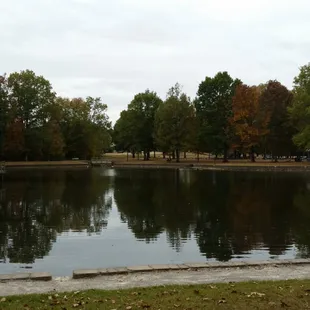 Stocked in the spring.