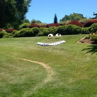 Fun Women's tournaments at Cameron Park Country Club