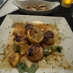 Grilled scallops and sautéed mushrooms