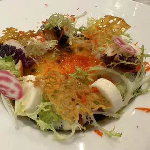 Spiny Florida Lobster