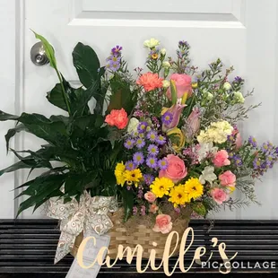 Plant and flower combos