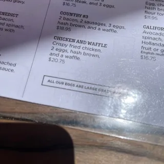 Chicken & Waffle