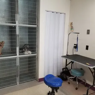 Our grooming area at Camino Verde Pet Resort