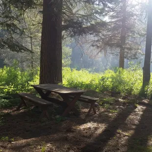 Enjoy lunch next to the river or play a board game with friends or family relaxing in the shade.