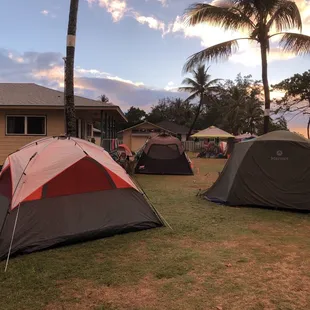 Lots of area to pitch a tent.