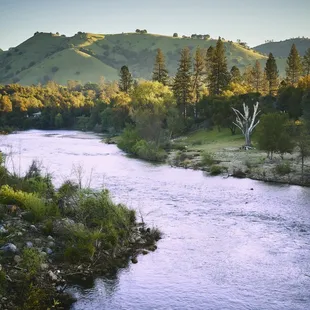 Evening time at Camp Lotus