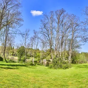 Camp Lotus has large, green areas perfect for day use, events, and camping