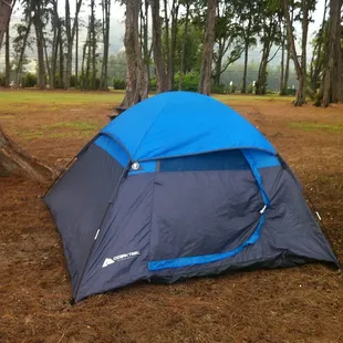 My tent at Camp Mokuleia. Note the large amount of room.