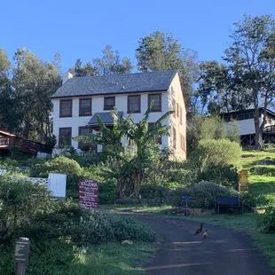 Hale Ohana
Built in 1930ʻs
4 bedroom, sleeps up to 12 guests