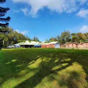 Swimming pool... looks cold!