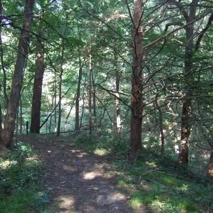 As a guest, you can enjoy hiking through several miles of wooded trails.