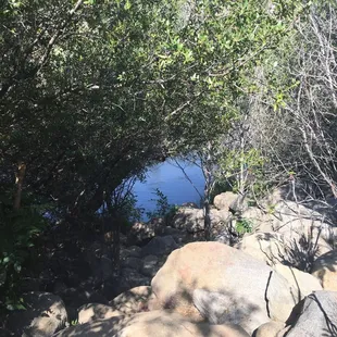 Slope down to the water at site 41. Not nearly as bad as the sites up river