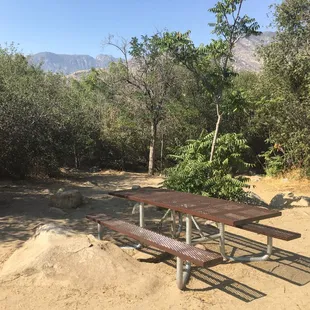 Bench at site 40, no shade. :-(