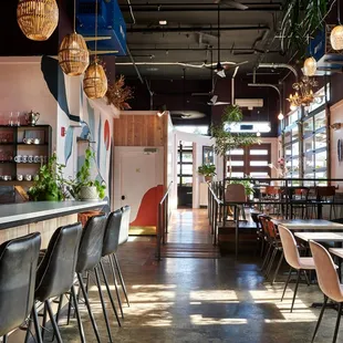 sushi and sashimi, interior
