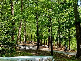 Paris Mountain State Park