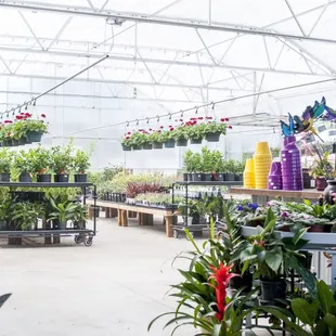 The Greenhouse