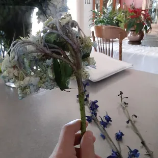 Dead hydrangea in the arrangement. Taken day of funeral.
