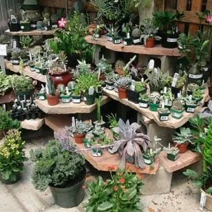 Campbell's Nurseries & Garden Centers