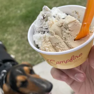 Coffee and cookies &amp; cream flavored gelato