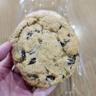Oatmeal chocolate chip cookie