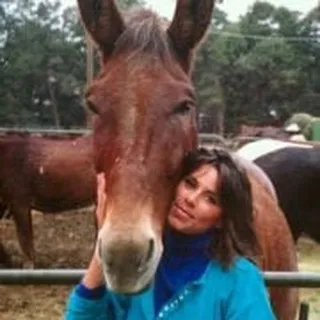 Christi L.