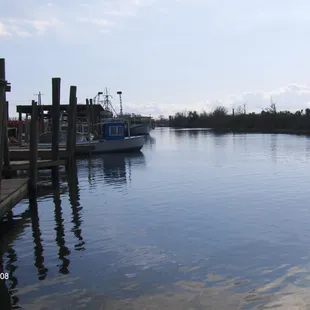 Campo&apos;s Marina - where gas and bait come from at Shell Beach