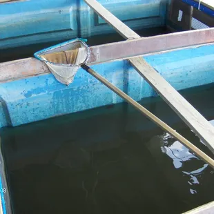 Campo&apos;s Marina - where gas and bait come from at Shell Beach