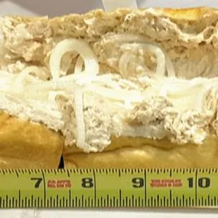 Super-size tuna hoagie.