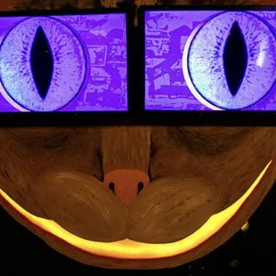 Digital Cat at Can Can Wonderland