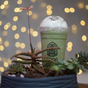 H7. Freeze Matcha + whipped cream