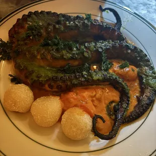 Polvo