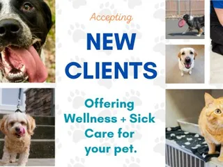 Pantano Animal Clinic