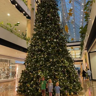 Go see the giant Christmas Tree at Canal Place!