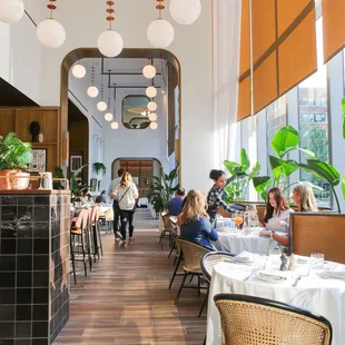 dining area with plants