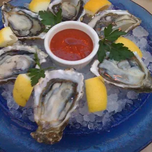 Oysters