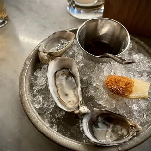 Oyster