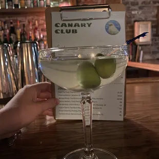 Slightly dirty gin martini