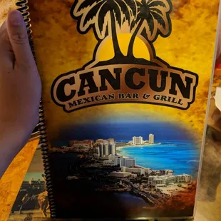 a hand holding a book