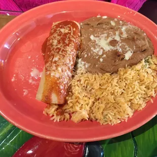 Chicken enchilada lunch special; good stuff