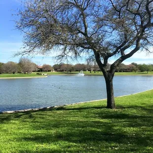 Candleridge Park.     A great start to spring