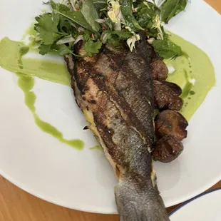 Branzino