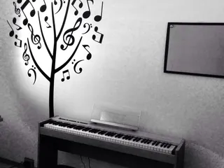 Pacific Island Notes