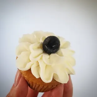 Mini vanilla blueberry cupcakes