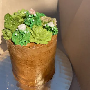 Succulent 3&quot; Cake