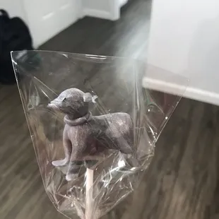 My father-in-law requested a black dog to match our pet dog.